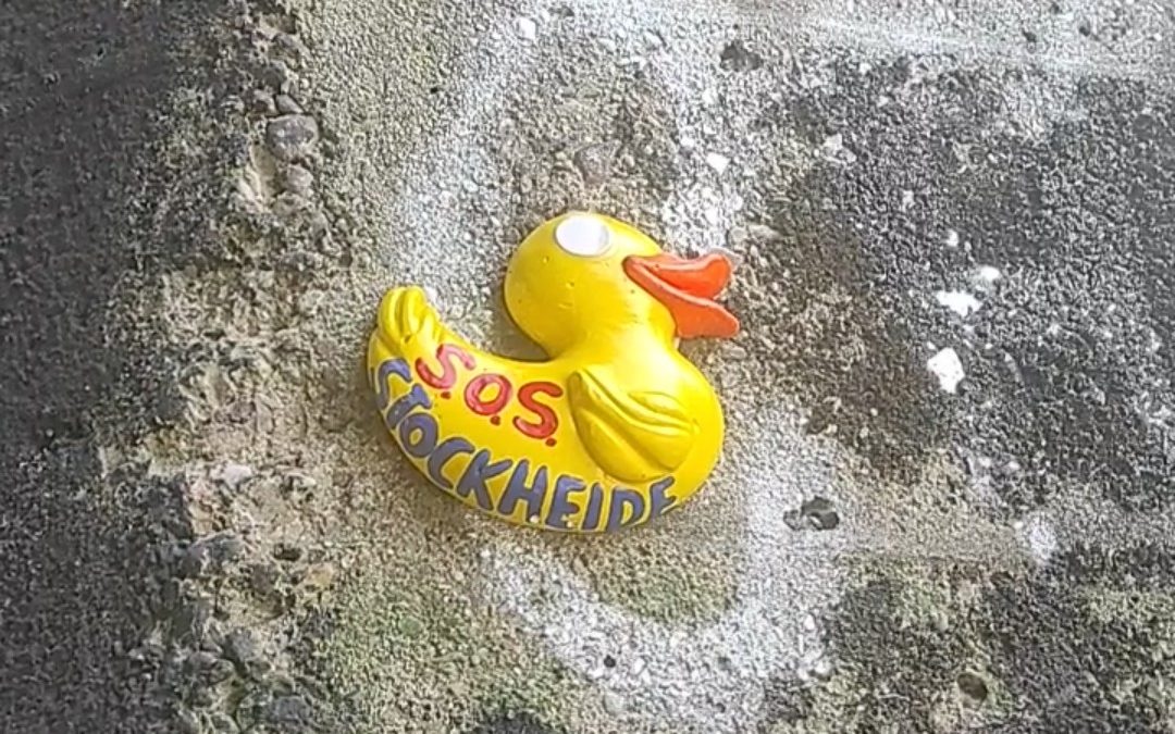 Freibad Stockheide: Baubeschluss Sanierung 