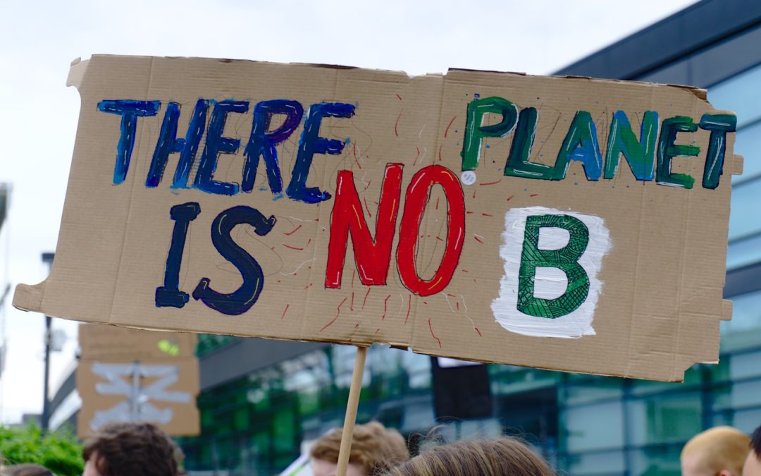 GRÜNE wollen Klimaneutralität bis 2035