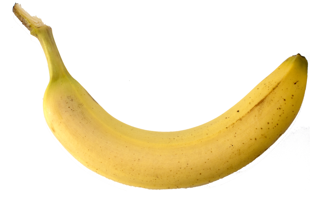 Sachstand Jahresarbeitsprogramm Tiefbauamt – Bananenradweg –