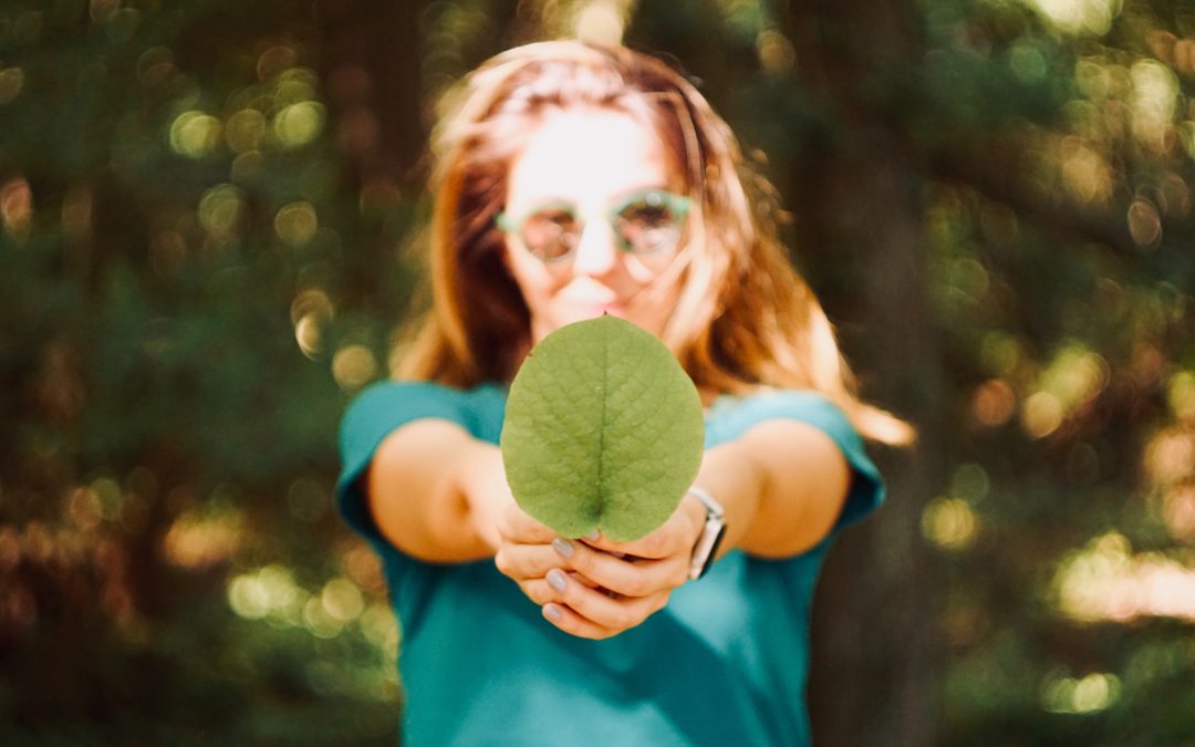 Klimarelevanz von Verwaltungsvorlagen