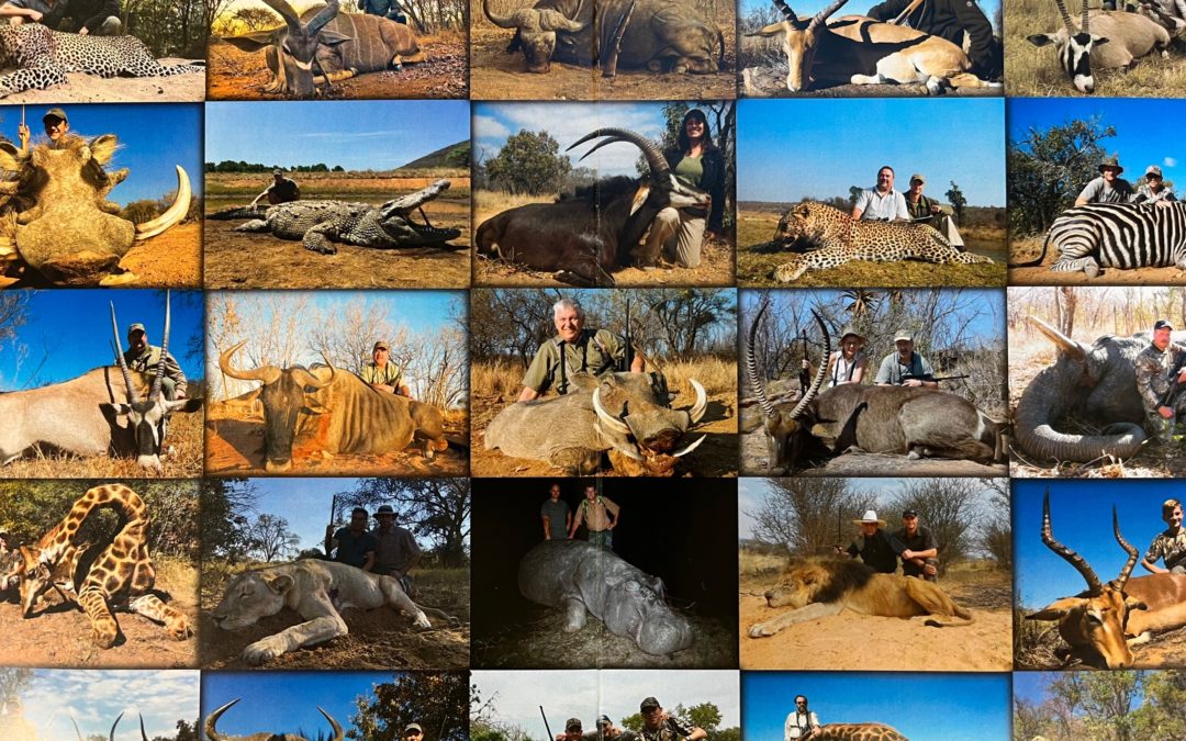GRÜNE kitisieren unzulässige Angebote auf der Jagd&Hund