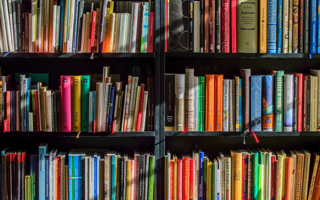 Machbarkeitsstudien Stadtteilbibliotheken