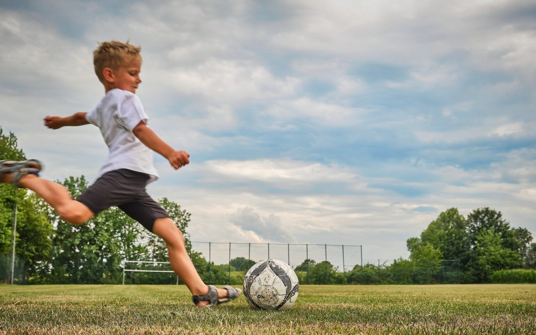 Masterplan Sport (Sportentwicklungsplan) für die Stadt Dortmund – Sportbewegter Sozialraum Scharnhorst-Ost hier: Vorlage der Machbarkeitsstudie 