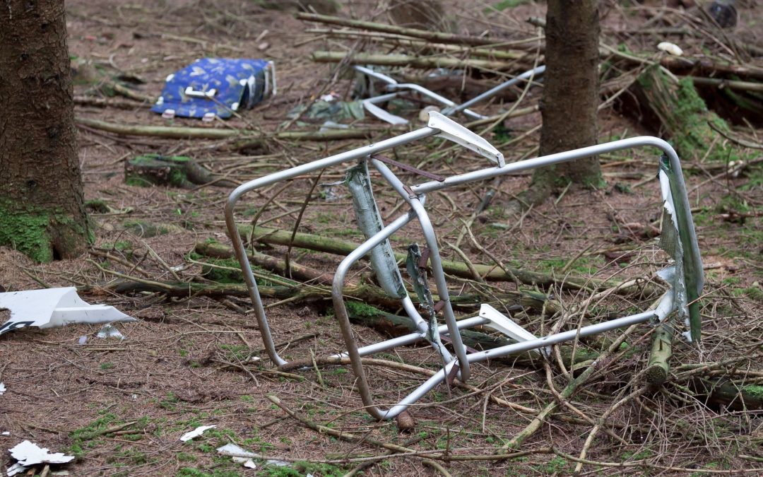 Emittlungsdienst Abfall – Sachstandsbericht 2025 und Darstellung der kommunalen Aktivitäten rund um die Themen Abfallvermeidung, Umweltbildung, Abfallrecycling und Abfallbeseitigung