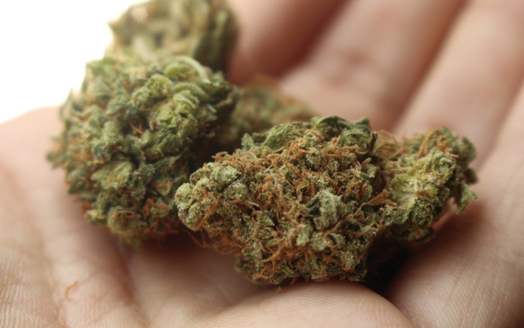 Werbe- und Konsumverbote im Zusammenhang mit der geplanten Legalisierung von Cannabis
