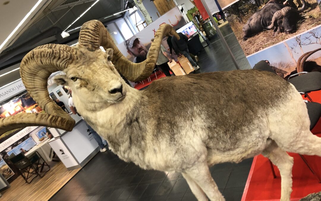 Messe “Jagd & Hund”
