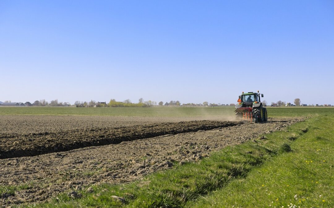 Mehr Grün auf Dortmunds Feldern