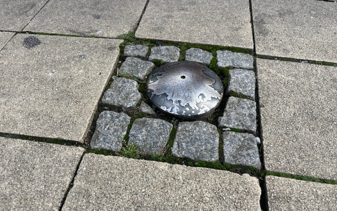 Parksensoren gegen Falschparken