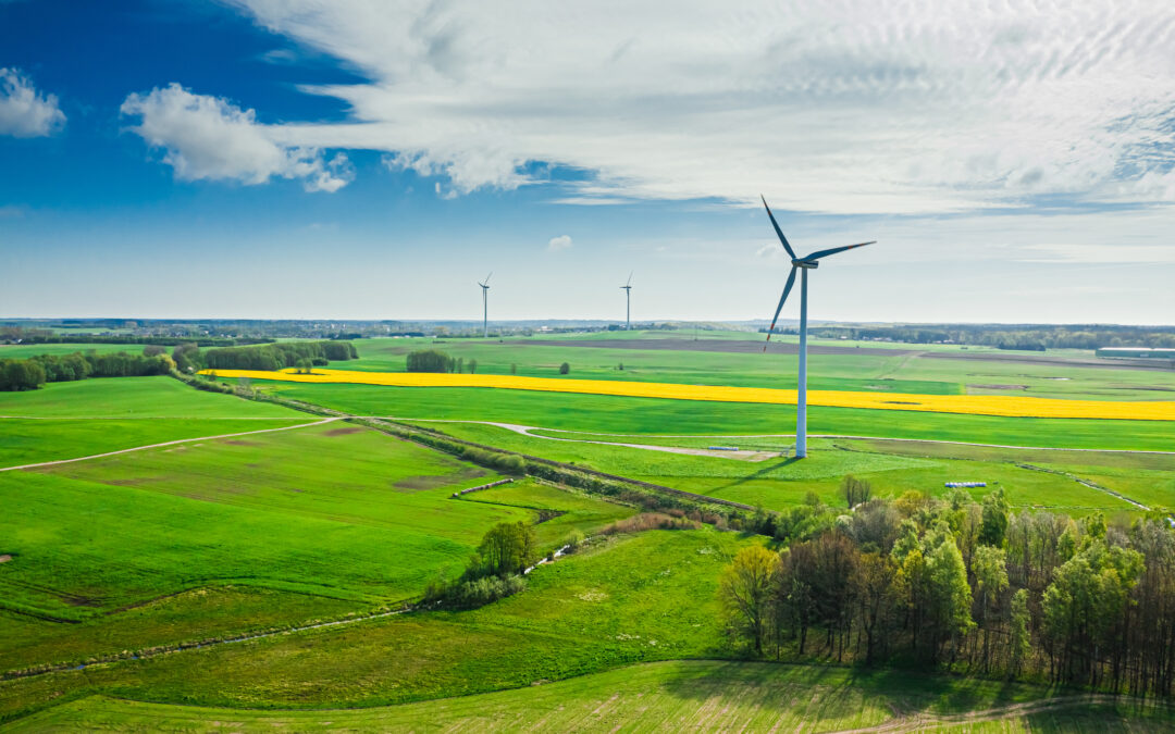 Grün wachsen: DoZirkulär2030