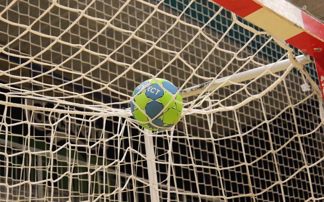 Handball-Campus-Konzept des Deutschen Handballbundes – Grundsatzbeschluss